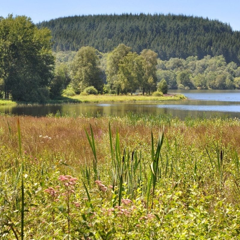 Regionaal natuurpark Morvan