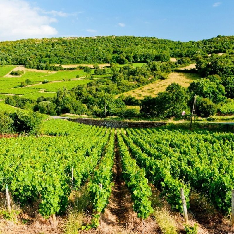 Christelijk vakantiepark bourgogne in frankrijk bezienswaardigheden regionaal natuurpark morvan 03