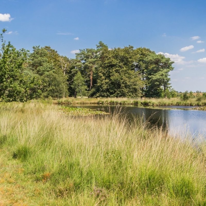 Christelijk vakantiepark drents friese wold in nederland bezienswaardigheden nationaal park dwingelerveld 02