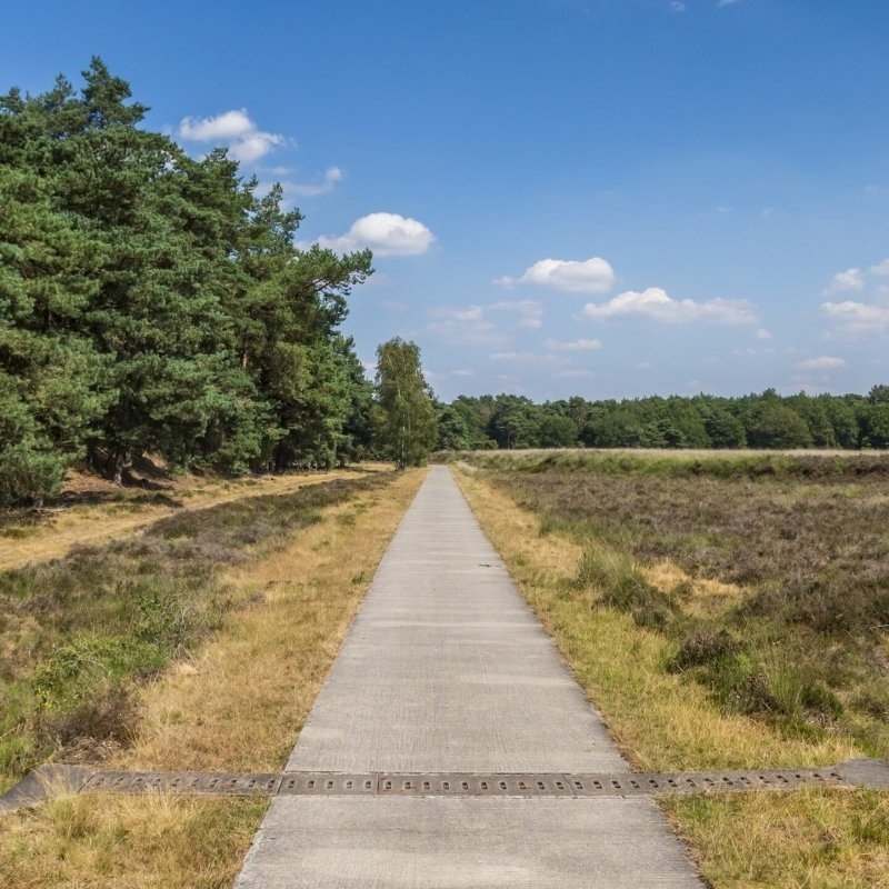 Christelijk vakantiepark drents friese wold in nederland bezienswaardigheden nationaal park dwingelerveld 03
