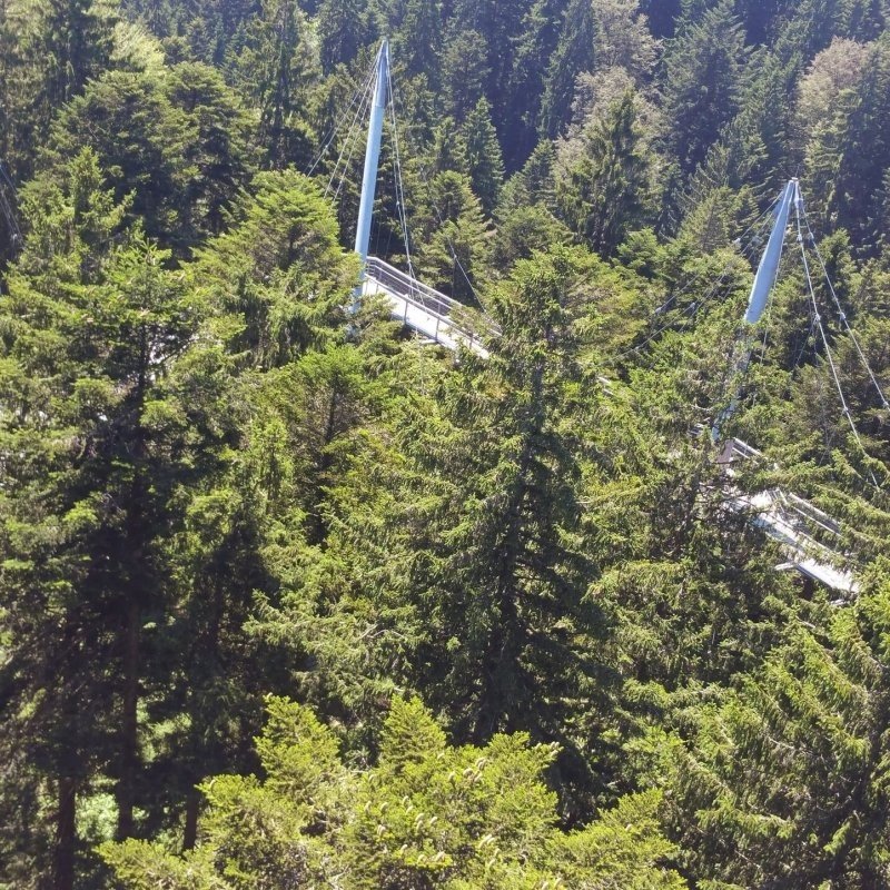 Skywalk Allgäu