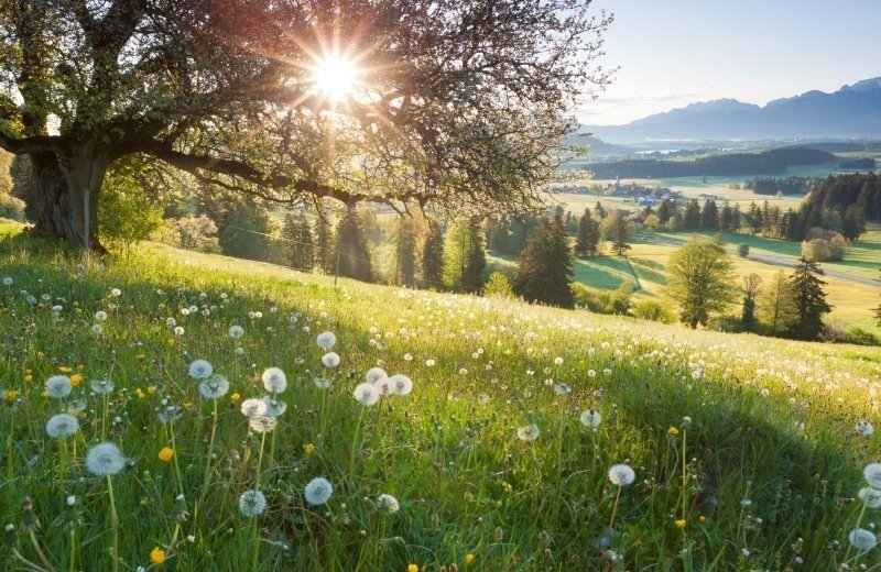 Christelijk vakantiepark duitse alpen omgeving 05