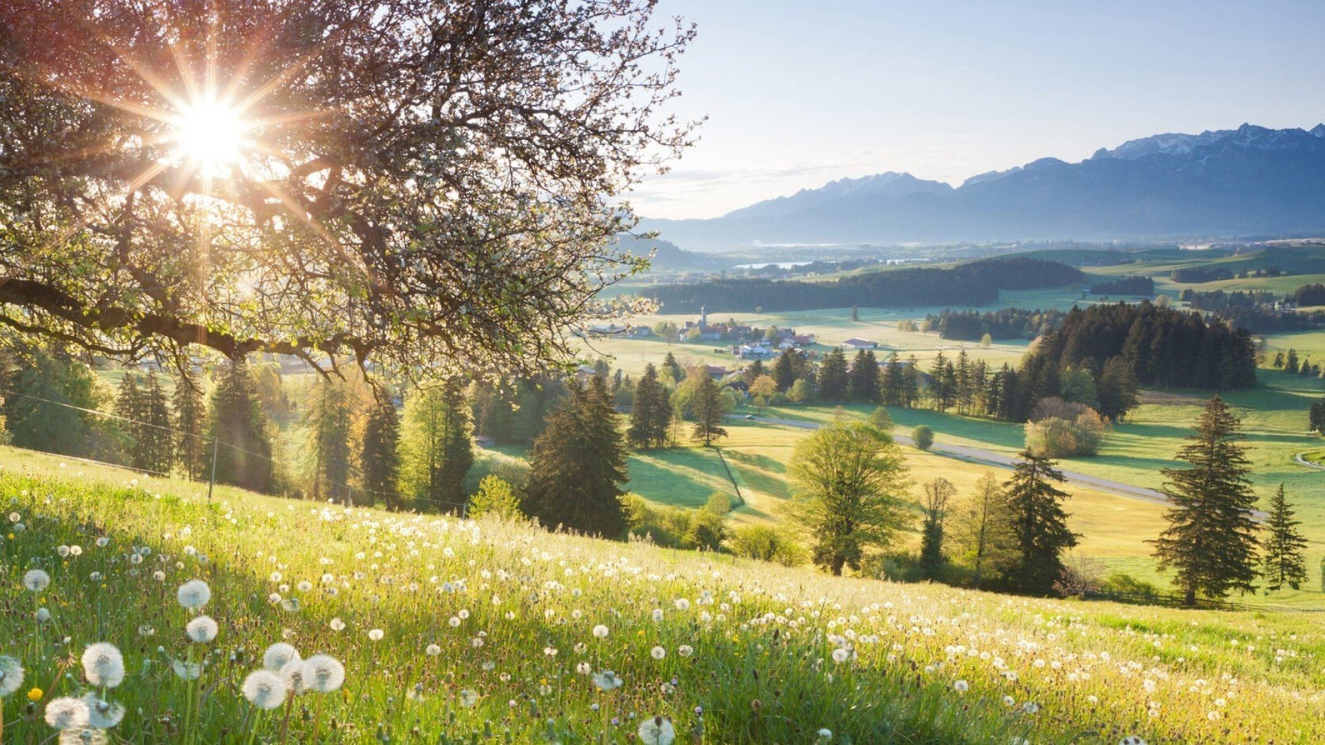 Christelijke gezinsvakanties