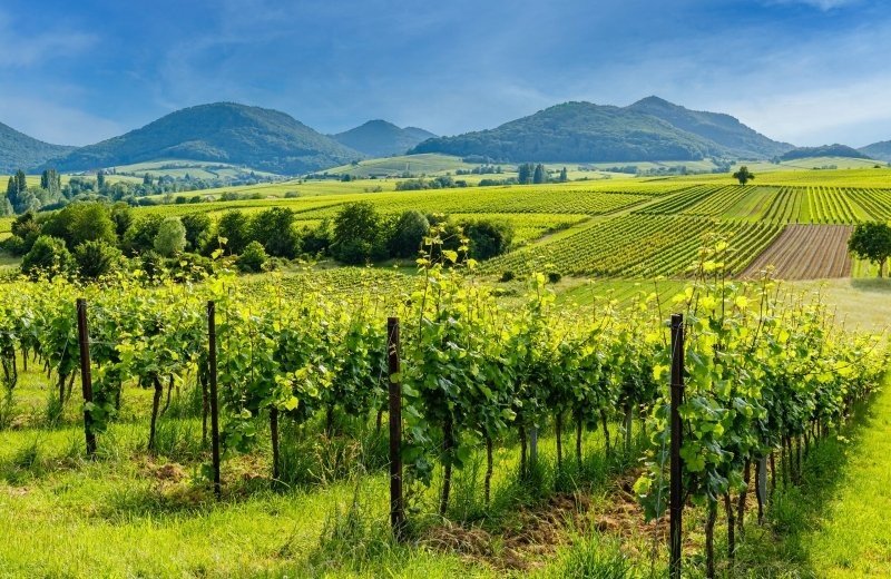 Christelijk vakantiepark hunsruck duitsland vakanz omgeving 04