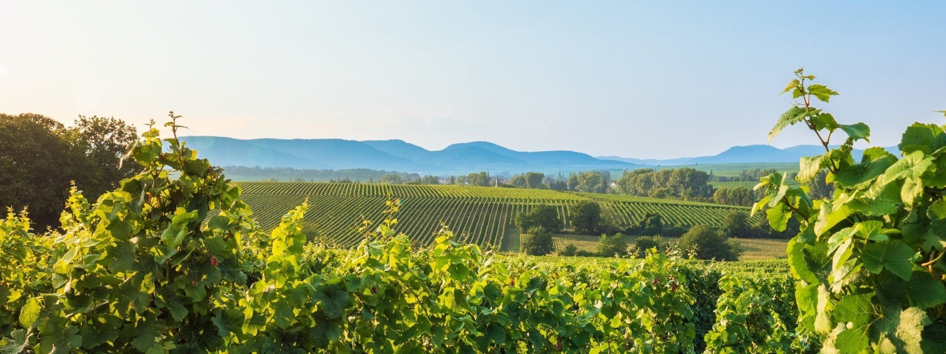 Christelijk vakantiepark hunsruck in duitsland schitterende omgeving