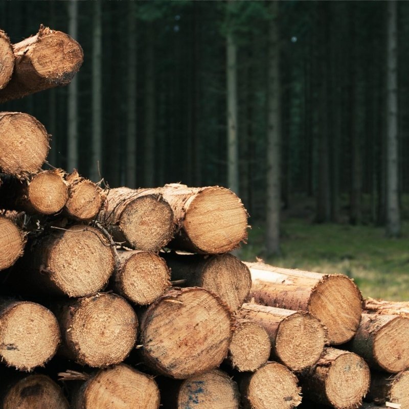 Holzwelt St. Rubrecht ob Murau