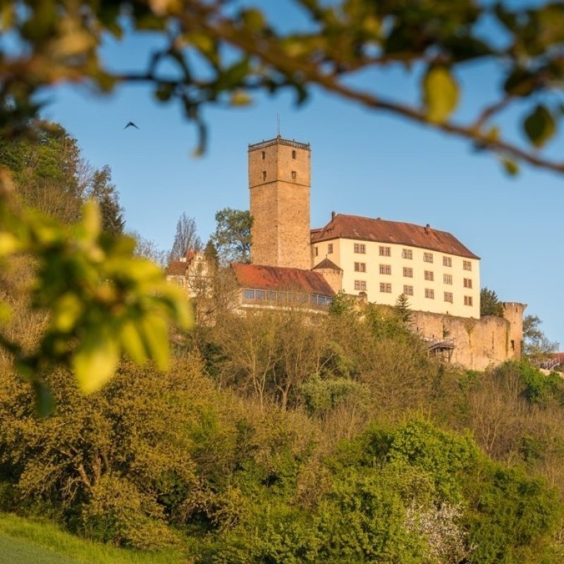 Burg Guttenberg