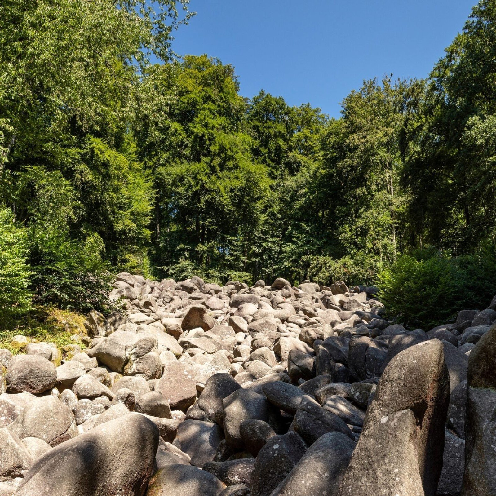 Felsenmeer (natuurpark/rotsblokkenzee)