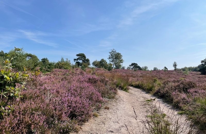 Christelijk vakantiepark salland rijssen holten vakanz omgeving 01