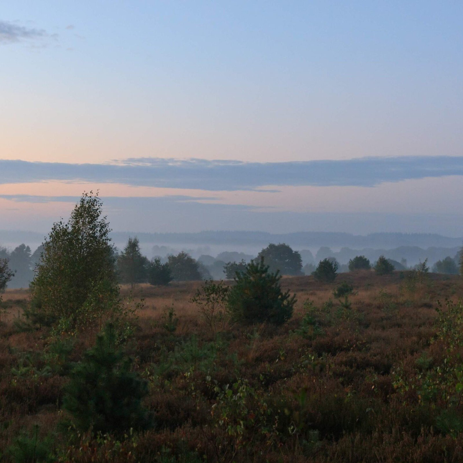 Nationaal Park Sallandse Heuvelrug
