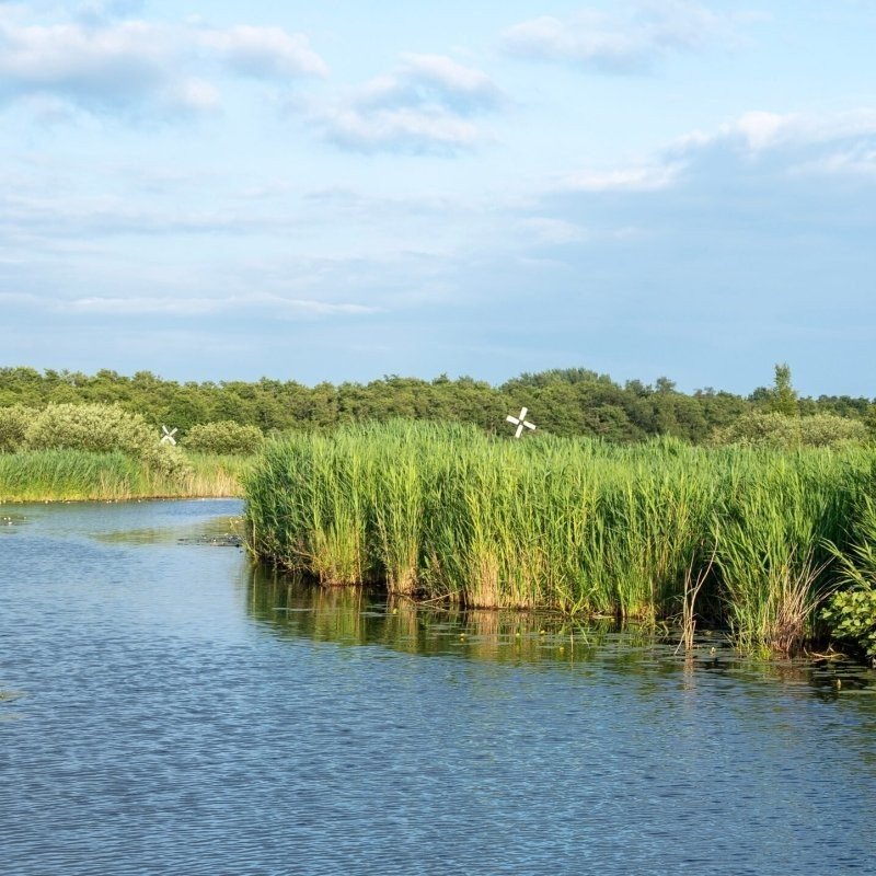 Nationaal park Weerribben-Wieden