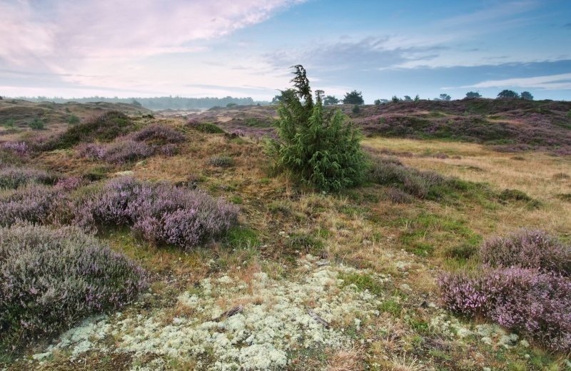 Christelijk vakantiepark vechtdal omgeving 00a