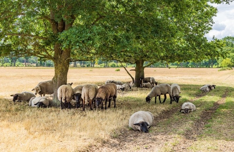 Christelijk vakantiepark vechtdal omgeving 00b