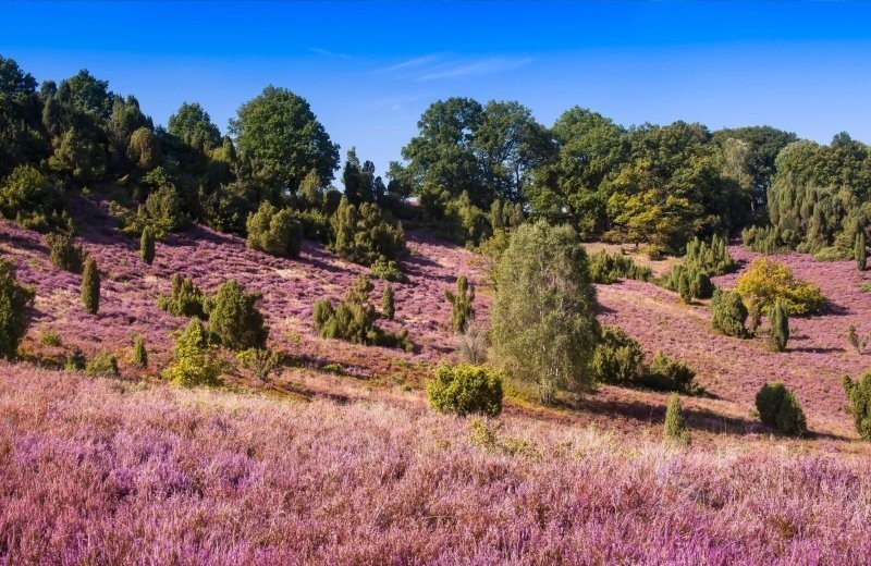Christelijk vakantiepark vechtdal omgeving 00c