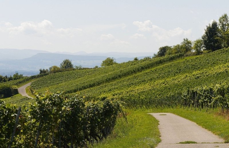 Christelijke camping frankrijk bourgogne vakanz omgeving 05