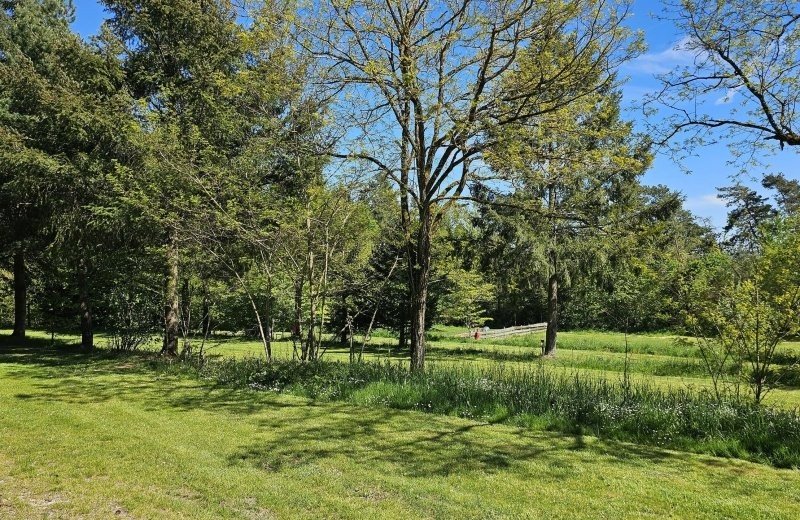 Christelijke camping moezel duitsland ruime terrasplaatsen 05