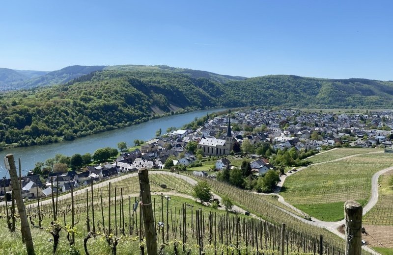 VakanZ koopt eigen camping in Moezelregio